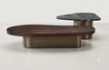Z-CT-007