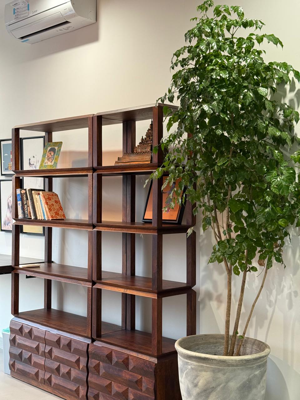 Modern Bookshelf