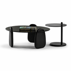 Modern Sculptural Black Coffee Table Set - Z-CT-005